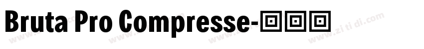 Bruta Pro Compresse字体转换
